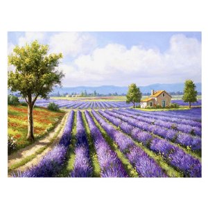 Алмазная мозаика ЛАВАНДОВОЕ ПОЛЕ 25х30 см M-11513
