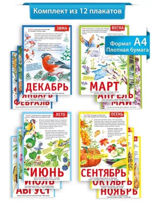 Набор мини плакатов 12 месяцев 071.506