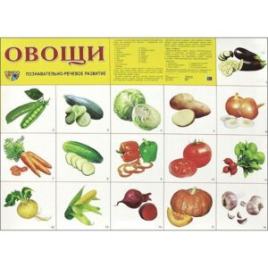 Плакат Овощи