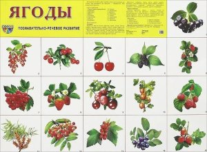 Плакат Ягоды