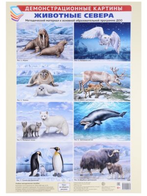 Демонстр картины Животные севера