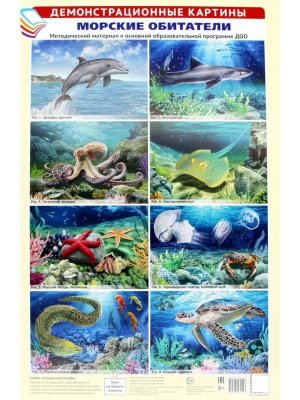 Демонстр картины  Морские обитатели