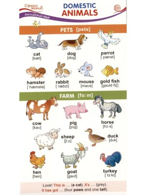 Шпаргалка Domestic Animals Домашние животные ШМ-15048