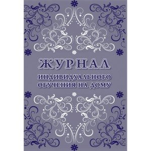 *Журнал индивид обуч на дому 48 стр КЖ-616/1