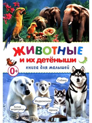 Животные и их детеныши Книга для малышей МЕЛОВКА