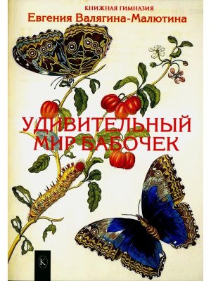Удивительный мир бабочек