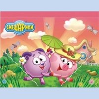 Папка из ламинированного картона на резинках СМЕШАРИКИ   84264