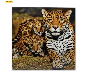 Картина на стекле Леопарды (30х30) УД-4018