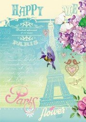 Дневник 5-11 Бирюзовая  Эйфелева башня Д48-1625