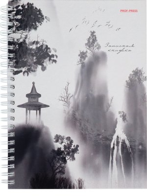 Записная книга  80л А5 Эстетика черного-2 Спираль 80-6751