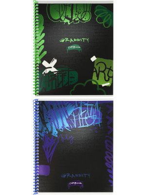 Тетрадь  48 Клетка ГРАФФИТИ В ЦВЕТЕ цвет.спир.,твин лак, хол. фольга 48-6537