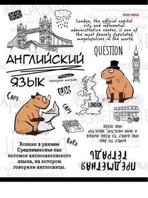 Тетрадь предм 48л Клетка АНГЛИЙСКИЙ ЯЗЫК КАПИБАРА лен 48-0032