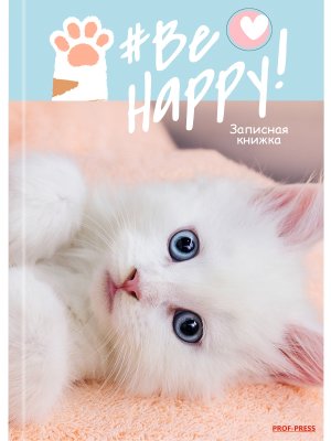 Записная книжка  48л А6 Милый белый котенок глянц мелован К48-5581