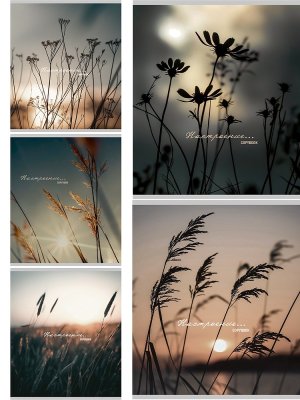 Тетрадь 96л Клетка НАСТРОЕНИЕ И ПРИРОДА глит голограф 96-8849