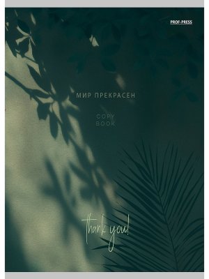 Тетрадь 80л клетка А4 ТЕНЬ ОТ ЛИСТЬЕВ Т80-4866