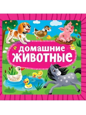 Кар ДОМАШНИЕ ЖИВОТНЫЕ