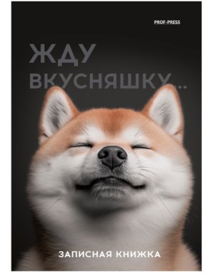 Записная книжка 48л А6 Милый забавный пес  лен 48-7096