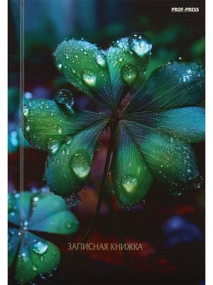 Записная книжка  80л А6 КРАСИВАЯ ПРИРОДА - 6 глянц ЗК80-0078