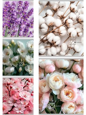 Тетрадь  48л Линия Нежные цветы - 21 мелован 48-9753