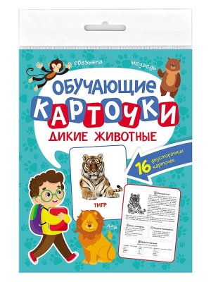 ОБУЧАЮЩИЕ КАРТОЧКИ ДИКИЕ ЖИВОТНЫЕ европодвес ПрПр