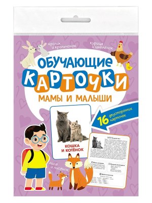 ОБУЧАЮЩИЕ КАРТОЧКИ МАМЫ И МАЛЫШИ европодвес ПрПр