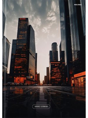 Бизнес блокнот 96л А4 МЕГАПОЛИС 2 Тв 96-1730