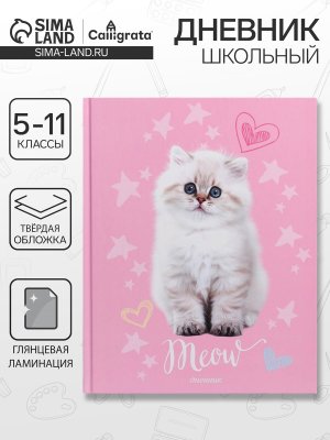 Дневник 5-11 тв обл Котик 4698424