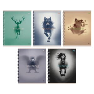 Тетрадь  60л Клетка Phenomenon Спираль Т5гр60 11934