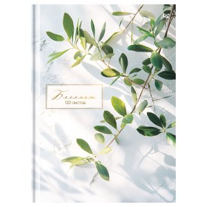 Бизнес блокнот 120л А4 Место под солнцем мат тисн фольгой ББ4т120_лм_тф 64777