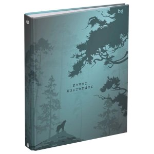 Тетрадь на кольцах 120л А5 Не сдавайся мат ТТ5к120_лм 62921