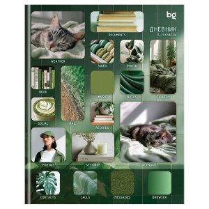 Дневник 5-11 Виджеты Тв выб лак Д5и48_лм_вл 62152