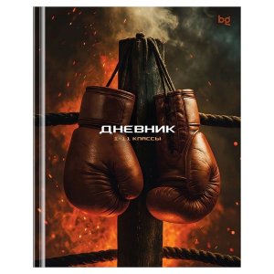 Дневник 1-11 кл Бокс Тв Д5т40_лм 62154
