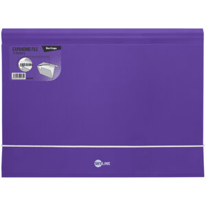 Папка А4 Skyline 13 отд 700мкм на резинке Фиолетовая ANp_04201_e