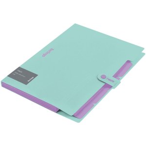 Папка 5 отд Haze А4, 600мкм на кнопке, мятная, софт-тач XF4_05922