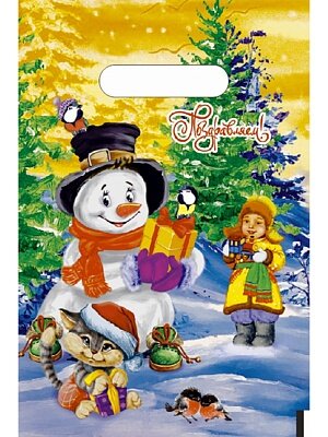 Пакет полиэтиленовый Зимние каникулы  НФ-00006726