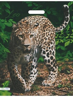 Полиэтиленовый пакет Леопард 41х51 НФ-00022324