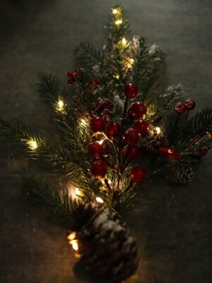 Гирлянда проволока 1,9м 20 ламп на батарейках 2*CR2032 теплый белый НУ-3648