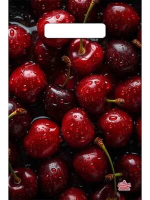 Полиэтиленовый пакет Вишня 20*30 н00255553