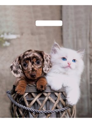 Полиэтиленовый пакет Пушистая парочка 31х40см/60мкм ВУР58076