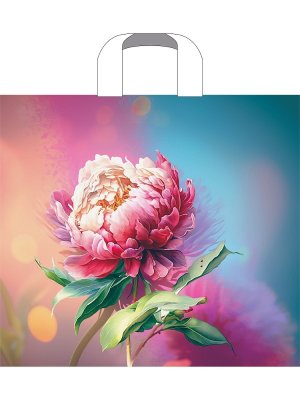 Полиэтиленовый пакет петлевой Сандра 38*34/70мкм ПТЛ58441