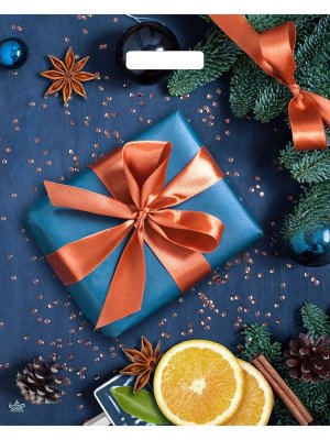 Полиэтиленовый пакет Подарок с апельсинами 47,5х39/60 н00246230