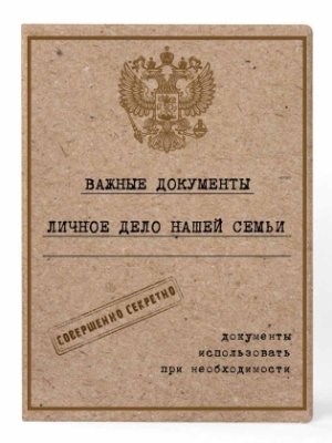 Папка органайзер 23×31,5х0,4см Личное дело из лист полипропилена 84541