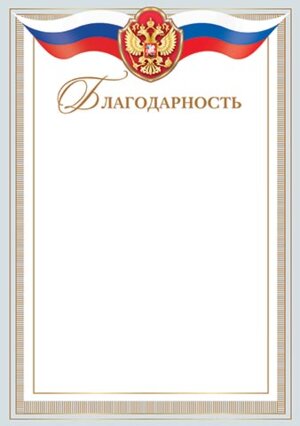 9-19-428 Благодарность РФ