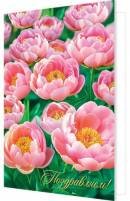 1-46-2618 Открытка Поздравляем жен