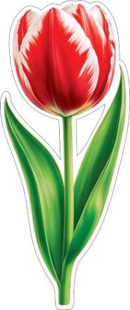 7-65-8068 Украшение на скотче Тюльпан красный