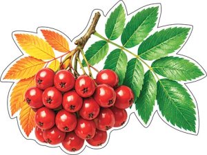 7-65-223 Украшение на скотче Ветка рябины