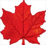 Украшение Кленовый лист красный