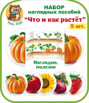 Набор развивающий Что и где растёт Овощи фрукты 88.966
