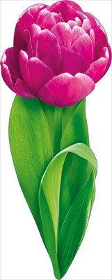 Украшение на скотче Тюльпан