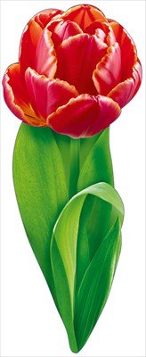 Украшение на скотче Тюльпан 9.0000558